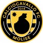 Calciocavallo Fc